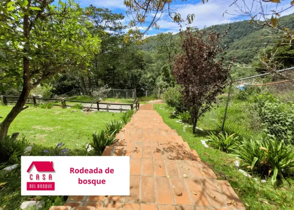 Andador del jardín, con el bosque y el cerro al fondo