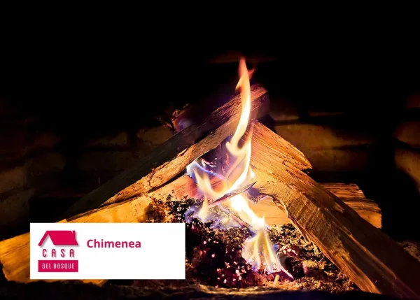 Leña ardiendo en la chimenea de la sala