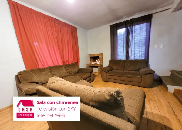 Sala con la chimenea encendida y los sillones alrededor