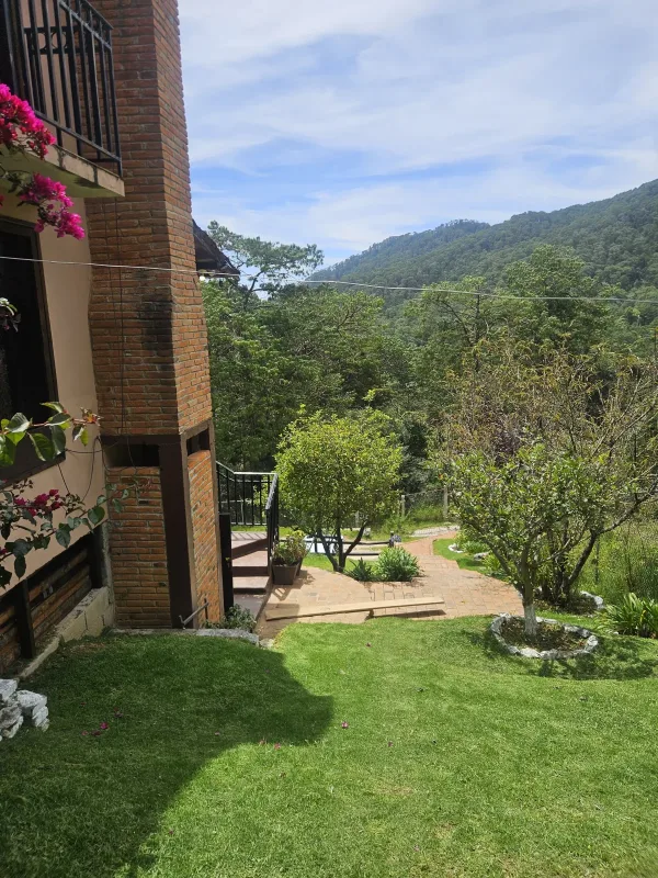 El jardín y el andador vistos desde la terraza alta